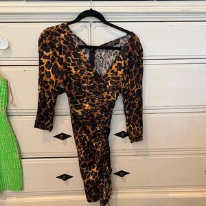 Zara Animal Print Long Sleeve Dress